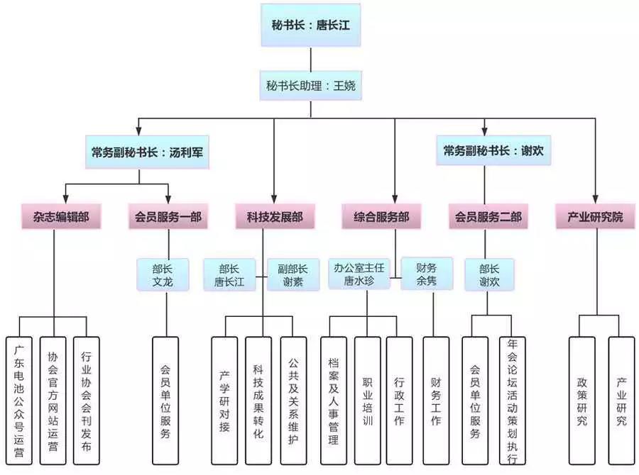 秘书组织架构